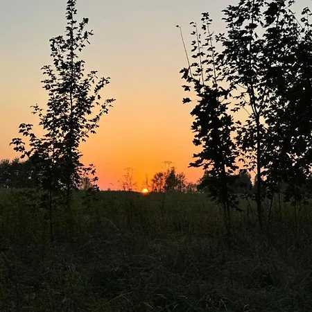 Mezi Stromy Appartement Jindrichovice