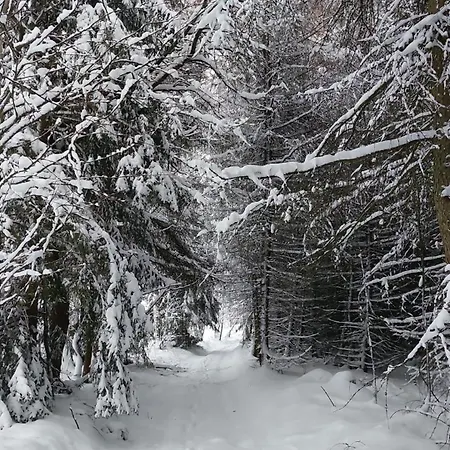 Appartement Mezi Stromy Jindrichovice