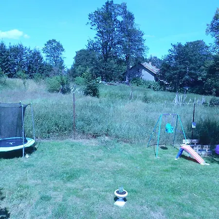 Mezi Stromy *